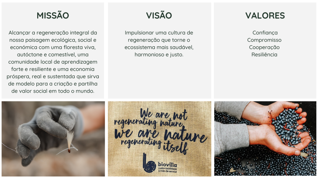 Imagem dividida em três colunas superiores com os títulos “Missão”, “Visão” e “Valores”, acompanhados dos respetivos textos descritivos. A missão destaca a regeneração integral ecológica, social e económica. A visão foca-se numa cultura de regeneração para um ecossistema saudável e justo. Os valores listados são: Confiança, Compromisso, Cooperação e Resiliência. Na parte inferior, três imagens: uma mão com luva segurando uma semente, um saco de serapilheira com a frase “We are not regenerating nature, we are nature regenerating itself”, e mãos nuas segurando bagas escuras.