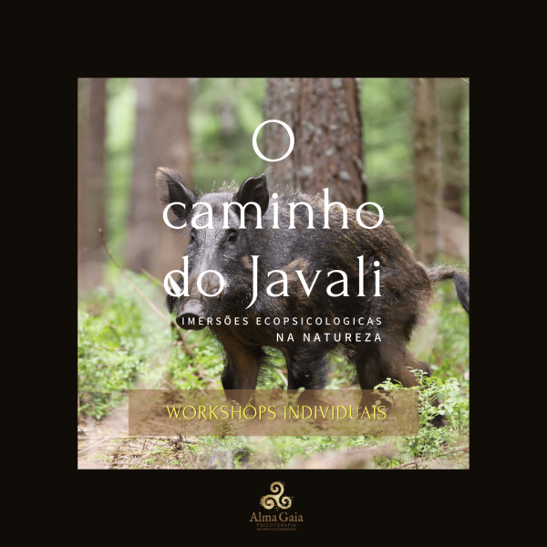 O caminho do Javali_Imersão_WSH INDIV