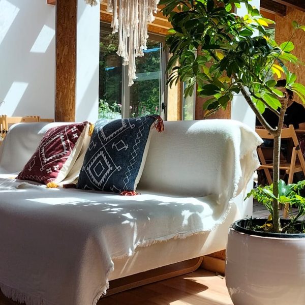 Sala de estar iluminada com sofá branco, almofadas decorativas, plantas e elementos em madeira, num ambiente acolhedor e natural.