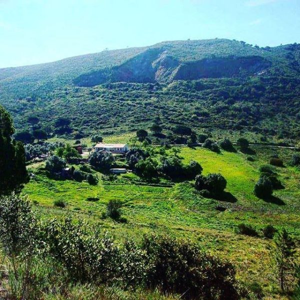 Vista panorâmica de uma paisagem verde com colinas, vegetação nativa e uma casa rural no meio da natureza.
